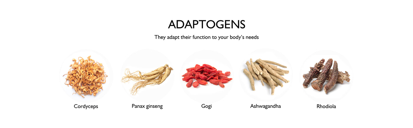 Adaptogens adapt their function to your body's needs. Cube Labs supplements formulations are comprised of natural adaptogens and modern vitamins and minerals, that are scientifically proven to show benefits. 