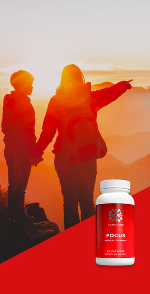 Focus on what matters with Product Focus Natural Adaptogens Supplement Helps Mental Stamina